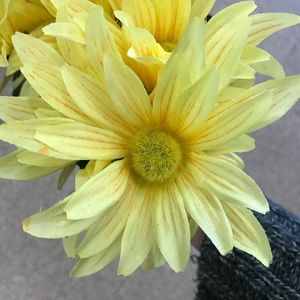 Meet your Posher, Chasity